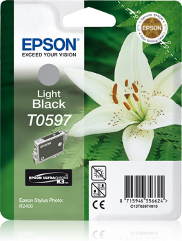 Singlepack Light Black T0597 UltraChrome K3