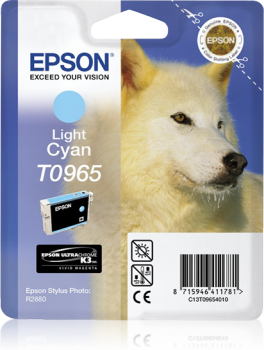 Singlepack Light Cyan T0965