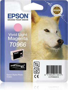 Singlepack Vivid Light Magenta T0966