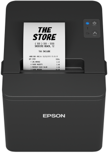 Epson TM-T20IV (101A0): USB + Serial, PS, Blk, UK