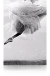 Velvet Fine Art Paper